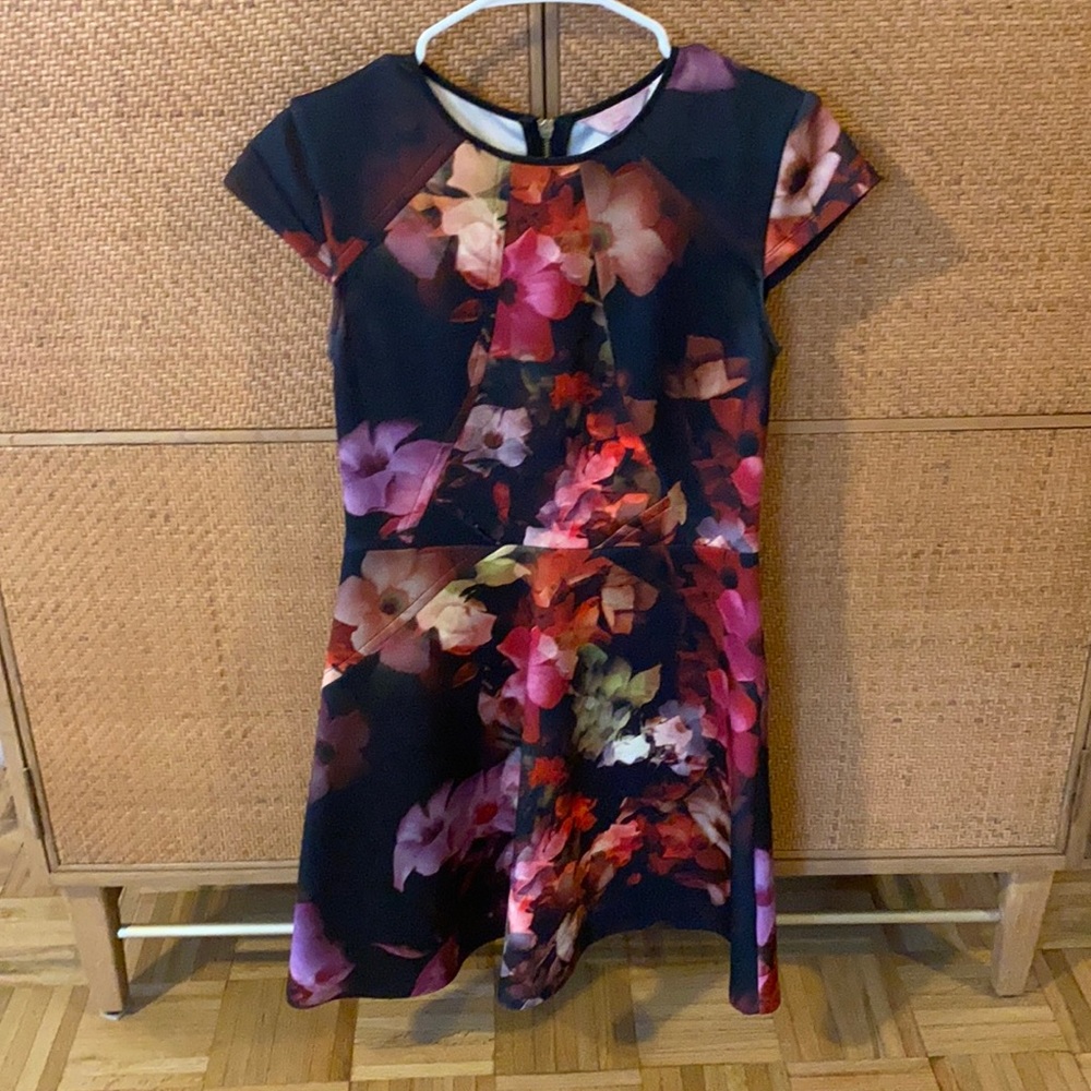 Ted baker mini dress